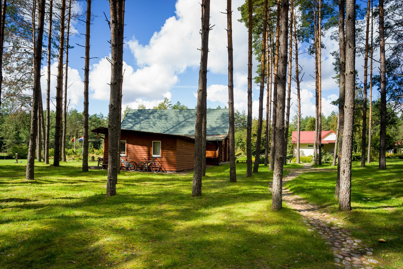 Log cabin through the pine forest at Landgoed Harmonie