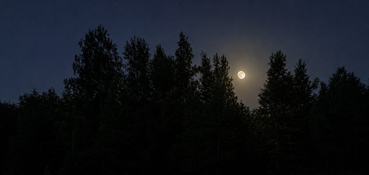 Full moon rising over the forest at Landgoed Harmonie