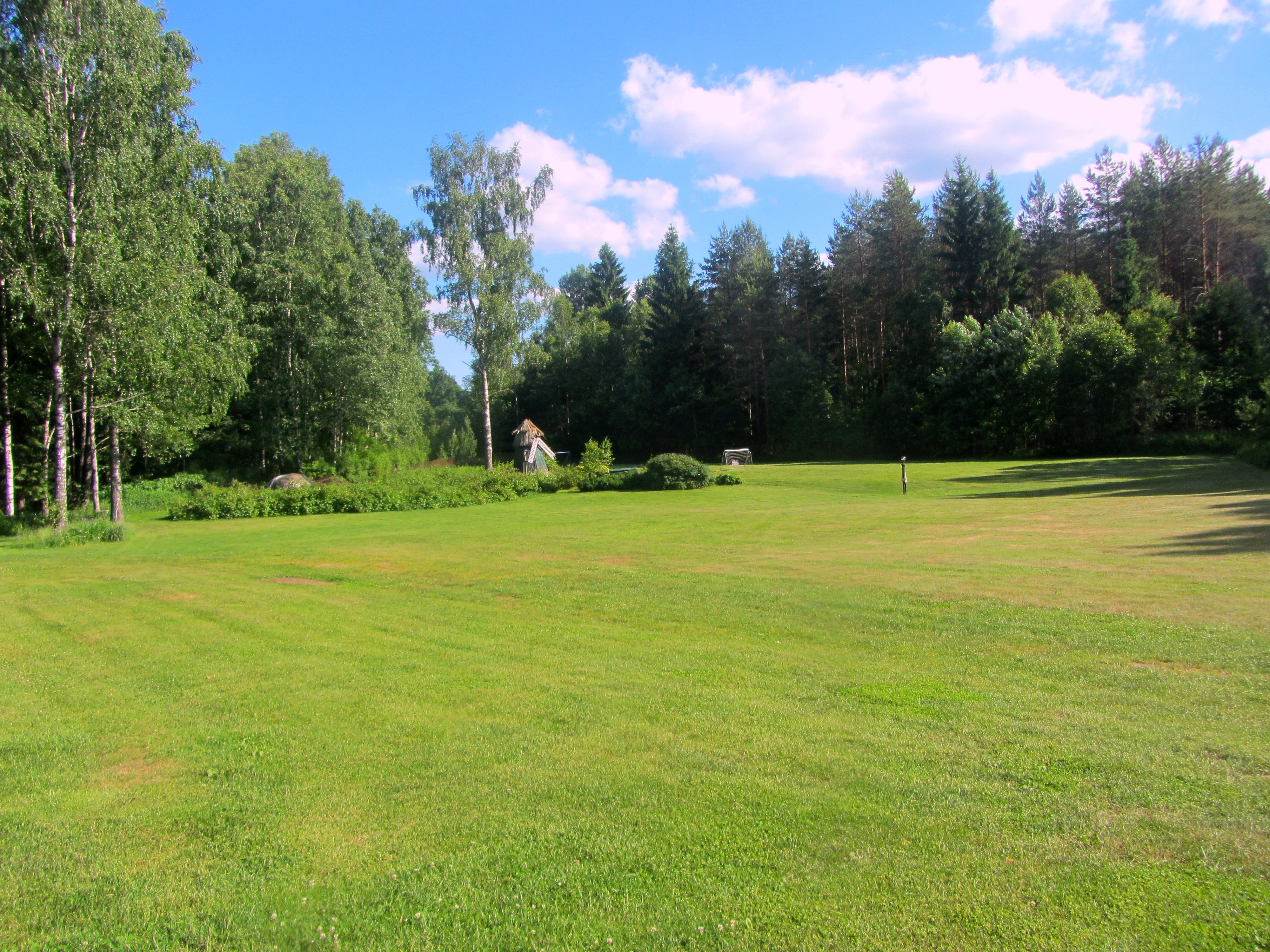 Open grass camping pitch surrounded by forest at Landgoed Harmonie