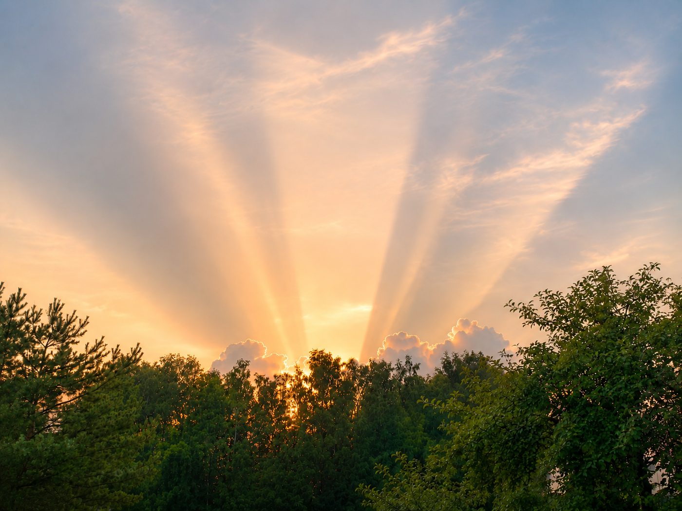 Golden sunset at Landgoed Harmonie